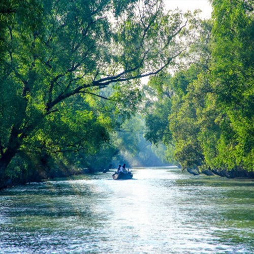 Sundarban Poshur nodi click by tour kori